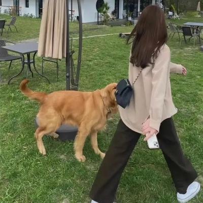 天间庄的三姐妹